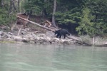 resIMG_20170716_173204_8733.JPG
